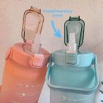 Motivational Water Bottle