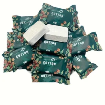 Disposable Compressed Towels